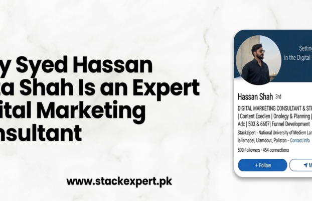 Why Syed Hassan Raza Shah Is an Expert Digital Marketing Consultant